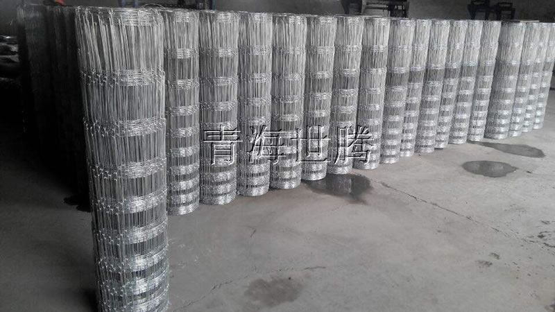草原<a href='http://www.hz-0571.cn/hulanwangxilie/page_2.html'target='_blank'>護(hù)欄網(wǎng)</a>.jpg